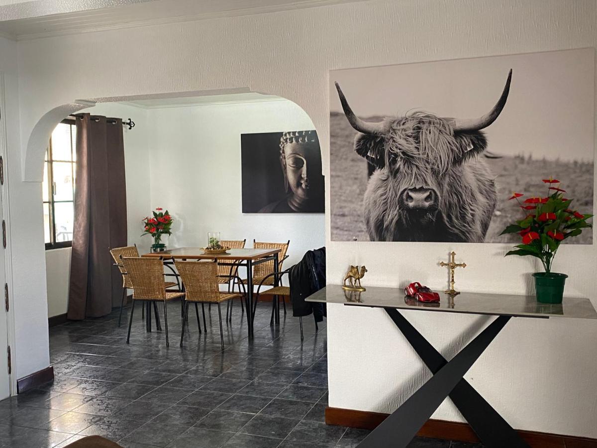 Hollywood Villa Campanário Extérieur photo